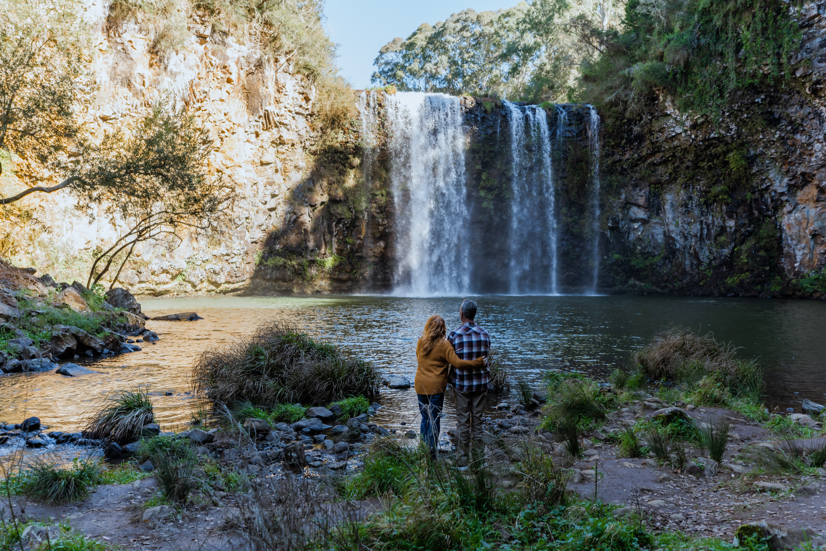 COANDA-DORRIGO-DANGAR-FALLS.jpg